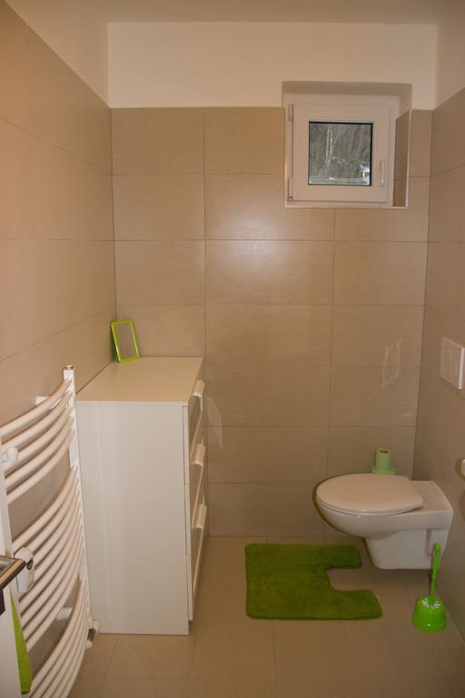Apartman V Zeleni Dolní Morava Cameră foto